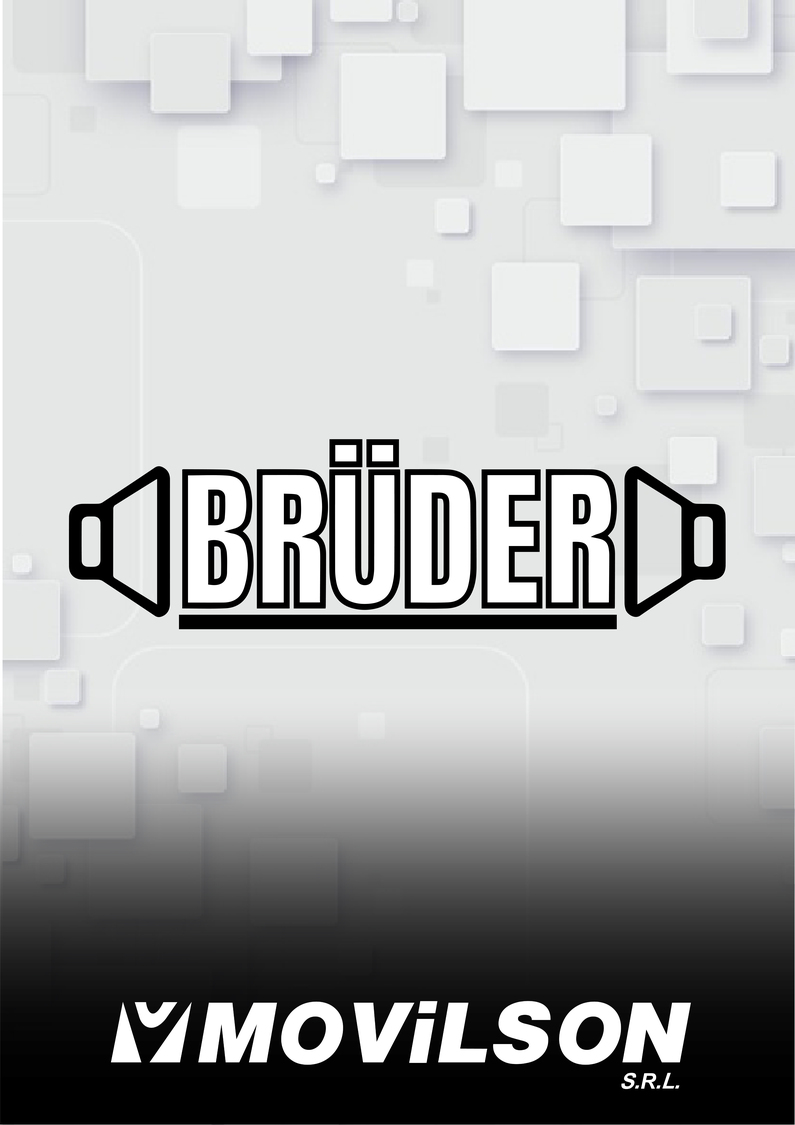 Catálogo Bruder
